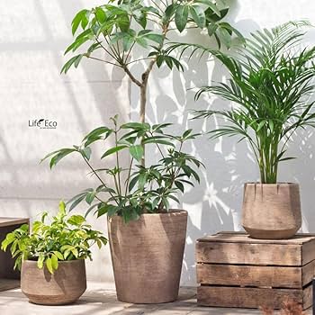 ちびゴリラページ　テラコッタ 花模様 植木鉢　20個　新品未使用 植木鉢 テラコッタ製（素焼き鉢） テラサモ コニック φ50cm
